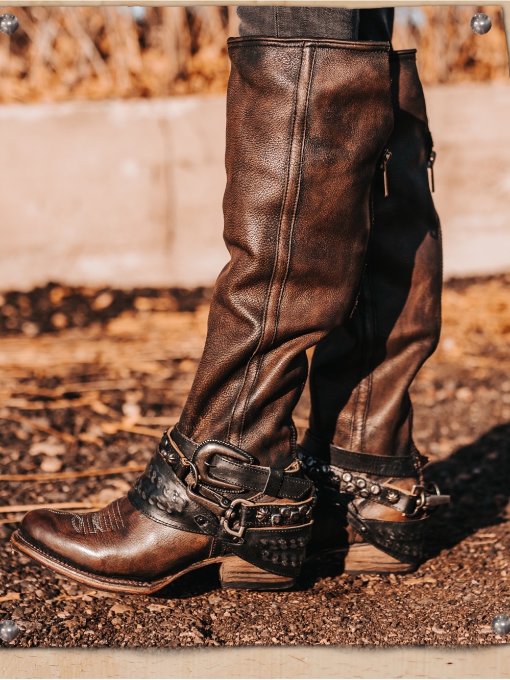 Freebird by Steven Brown Studded Leather Heeled Riding Boots